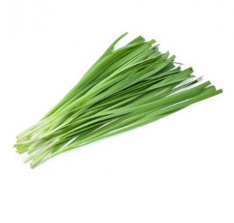بذر تره شادگان (فروش عمده)