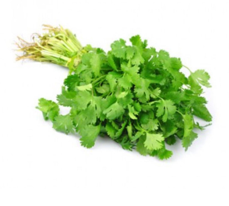 بذر جعفری (فروش عمده)
