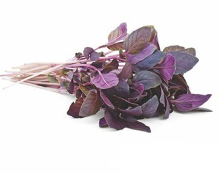 بذر ریحان بنفش برگ پهن (فروش عمده)