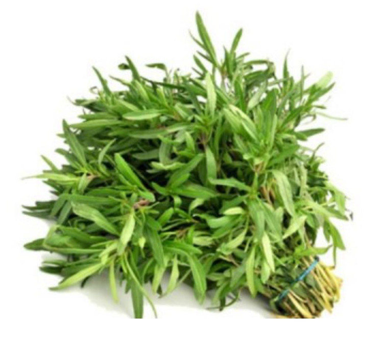 بذر مرزه (فروش عمده)