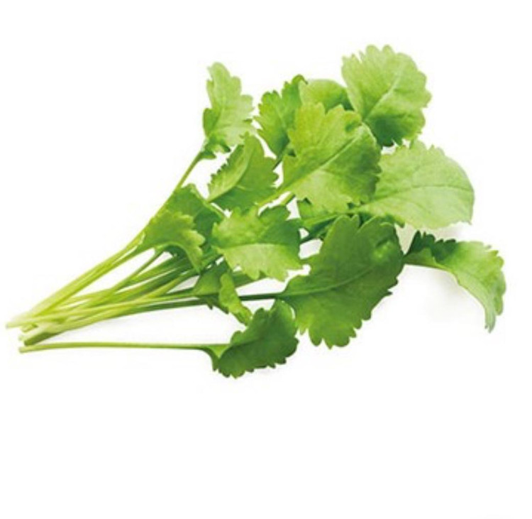 بذر شاهی (فروش عمده)