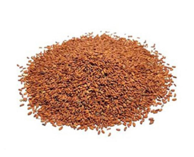 بذر شاهی (فروش عمده)