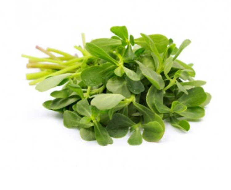 بذر شنبلیله اردستانی پاکوتاه (فروش عمده)
